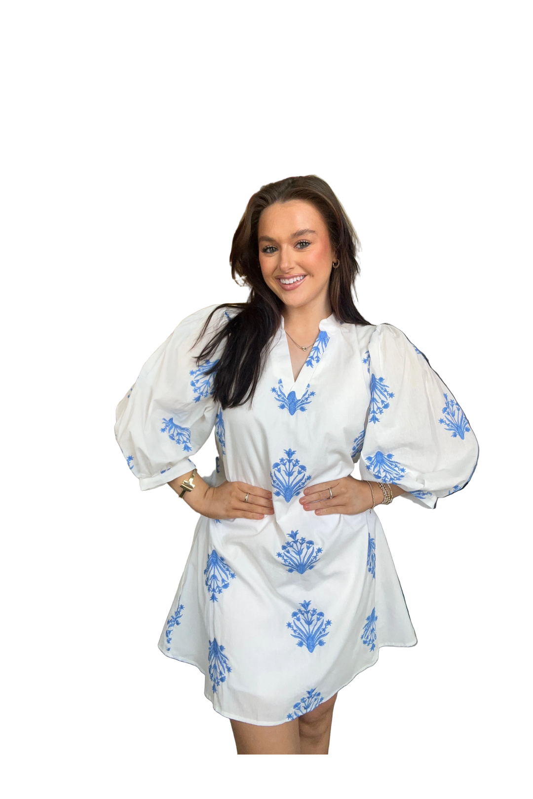 White Mini Dress with Blue Embroidery by Entro - Vintage Dragonfly Boutique