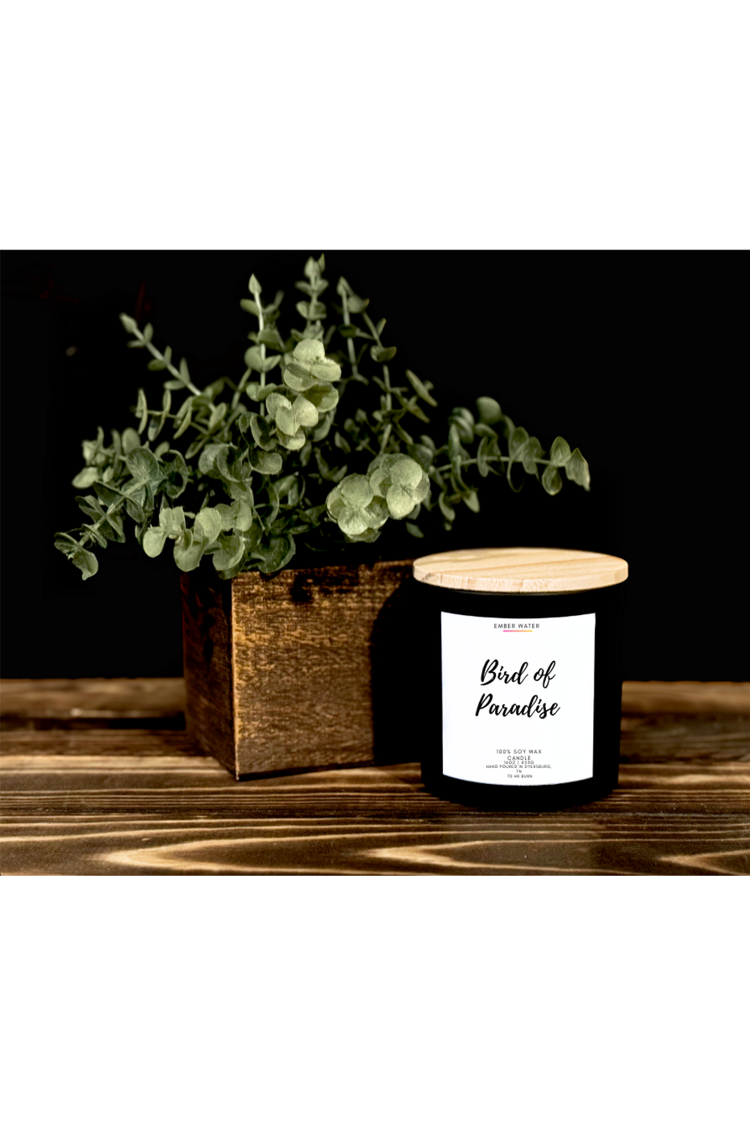 Ember Water - Bird of Paradise 16 oz 100% Soy Candle - Vintage Dragonfly Boutique